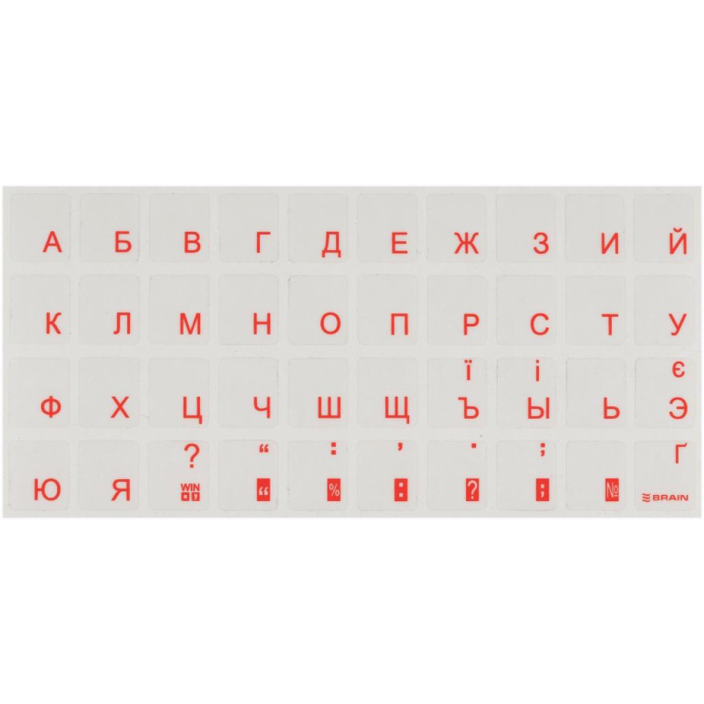 Наклейка на клавіатуру прозора orange [STBRTRORANGE]