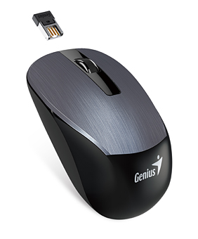 Мышь  беспроводная GENIUS Wireless NX-7015 Iron Gray [31030119100]