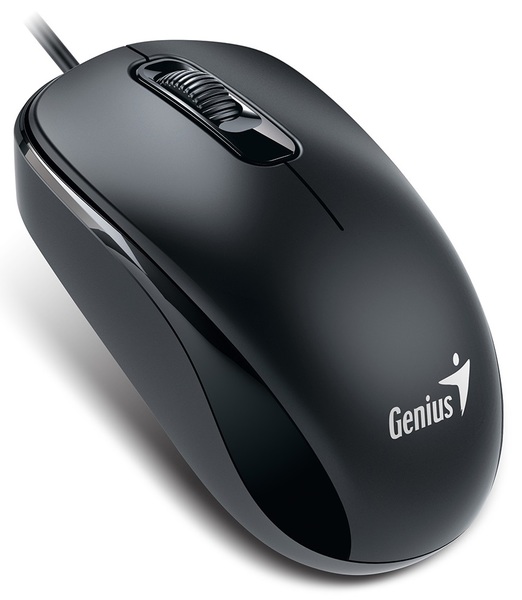 Мышь  GENIUS DX-110 USB, Black [31010116100]