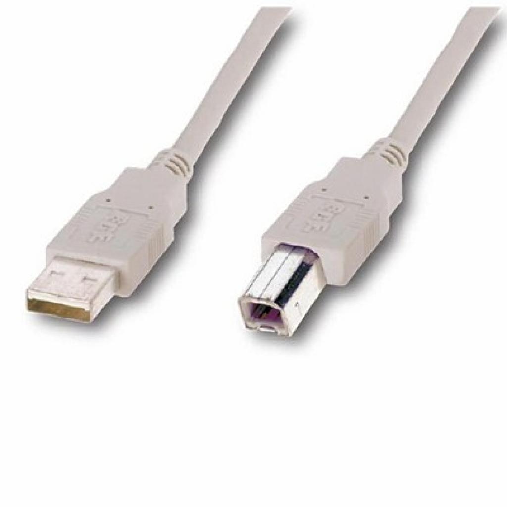 Кабель ATcom USB 2.0 AM/BM 3 м. ferrite core